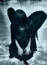Fallen_Angel